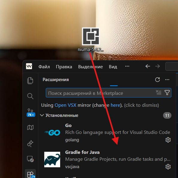 Установка VSIX в Windsurf